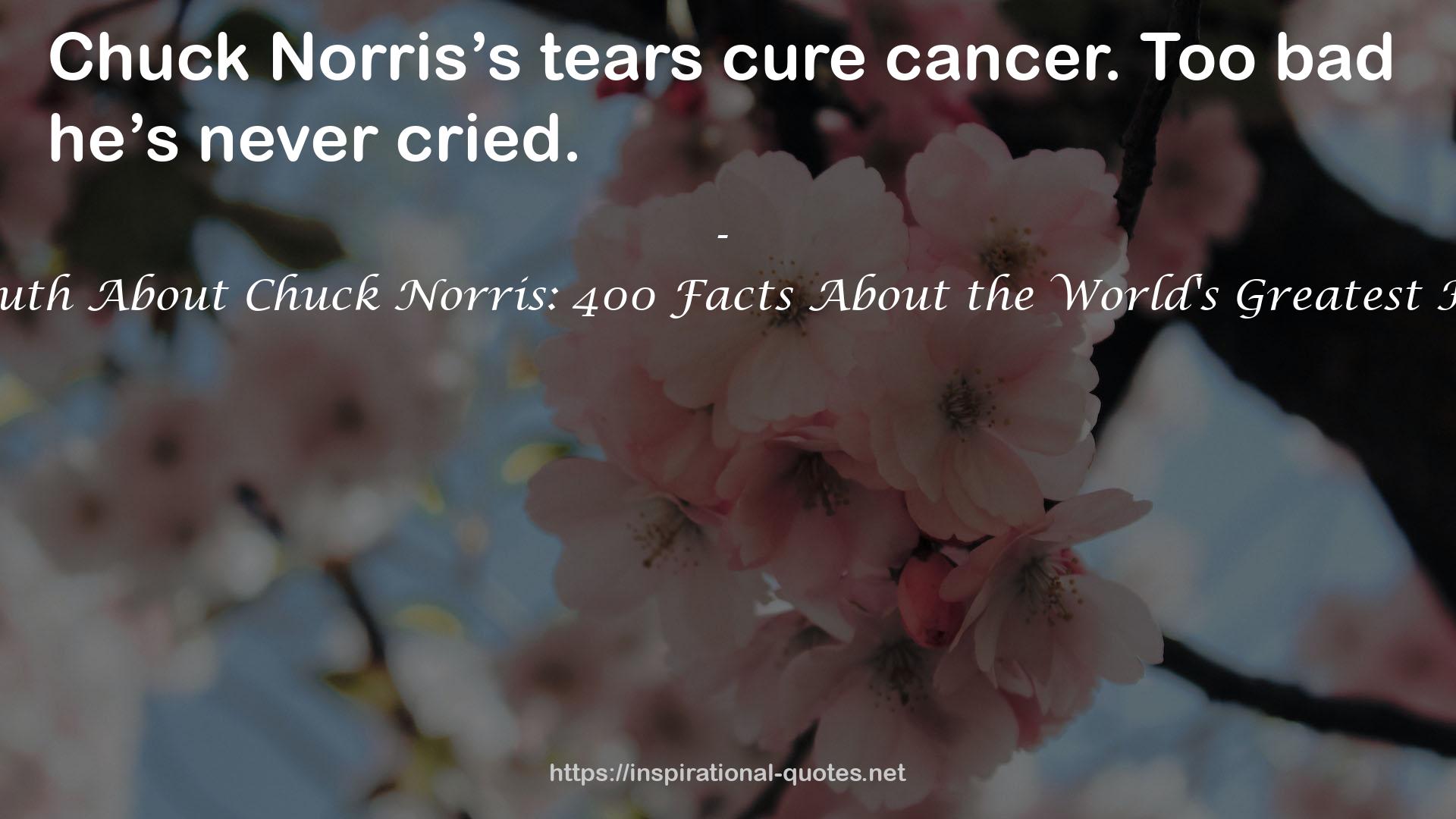 The Truth About Chuck Norris: 400 Facts About the World's Greatest Human QUOTES