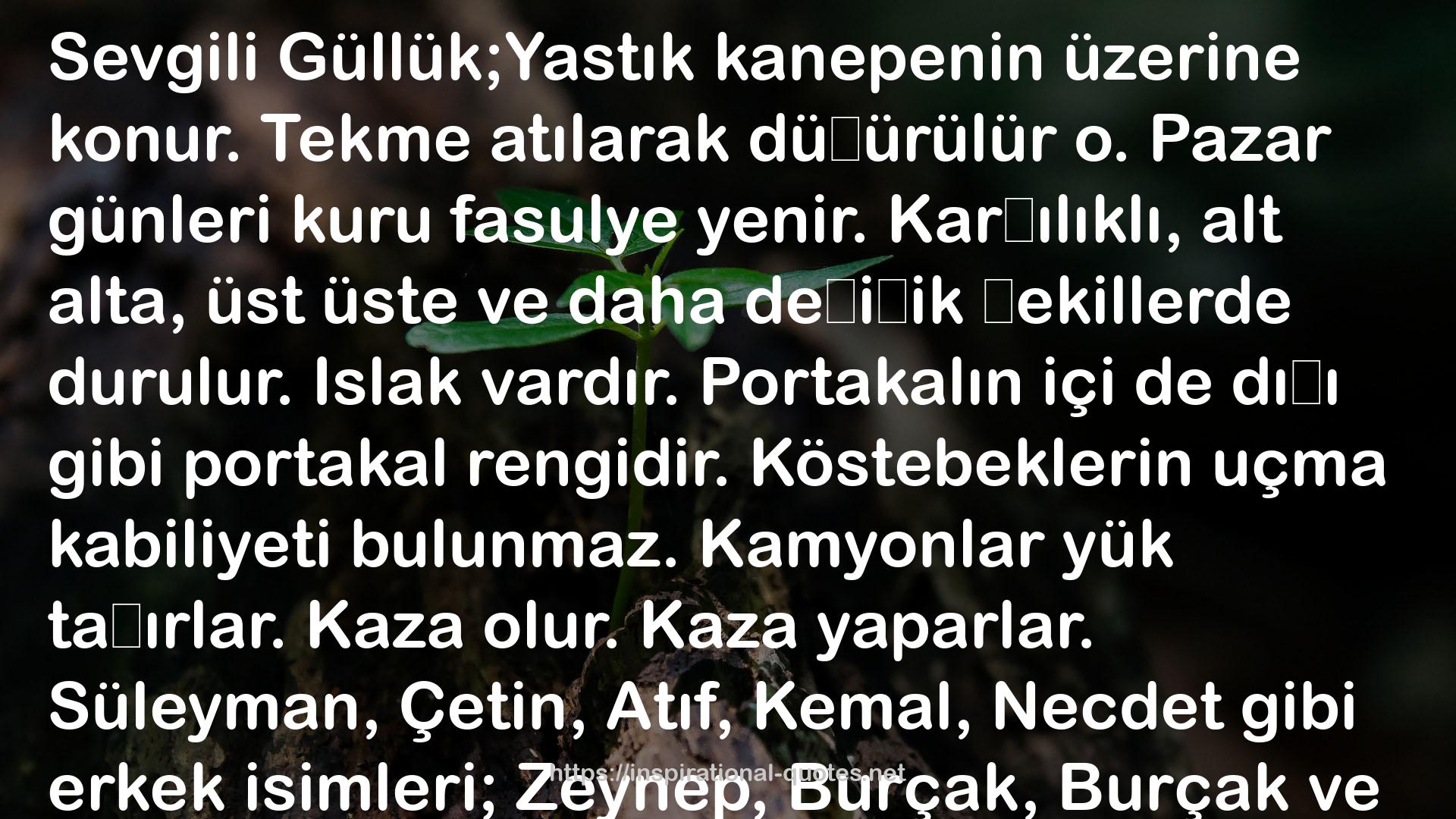 Portakalın içi de dışı  QUOTES