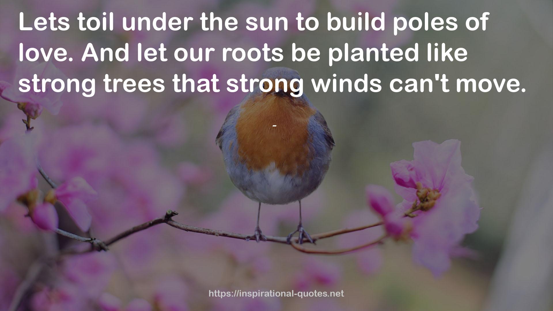 strong winds  QUOTES