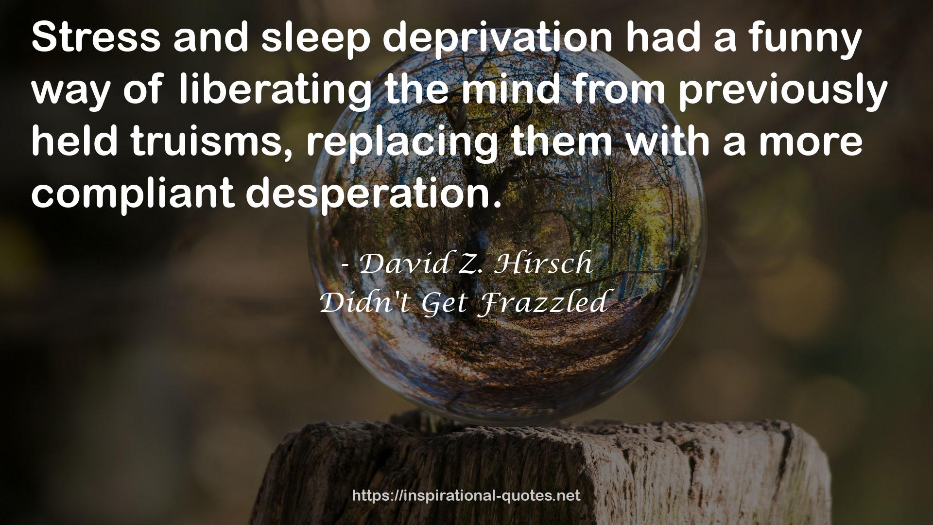 David Z. Hirsch QUOTES