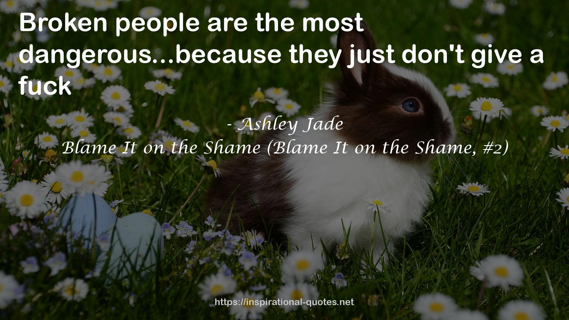 Blame It on the Shame (Blame It on the Shame, #2) QUOTES