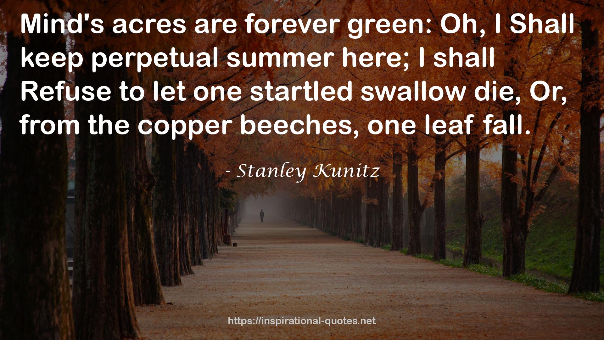 perpetual summer  QUOTES