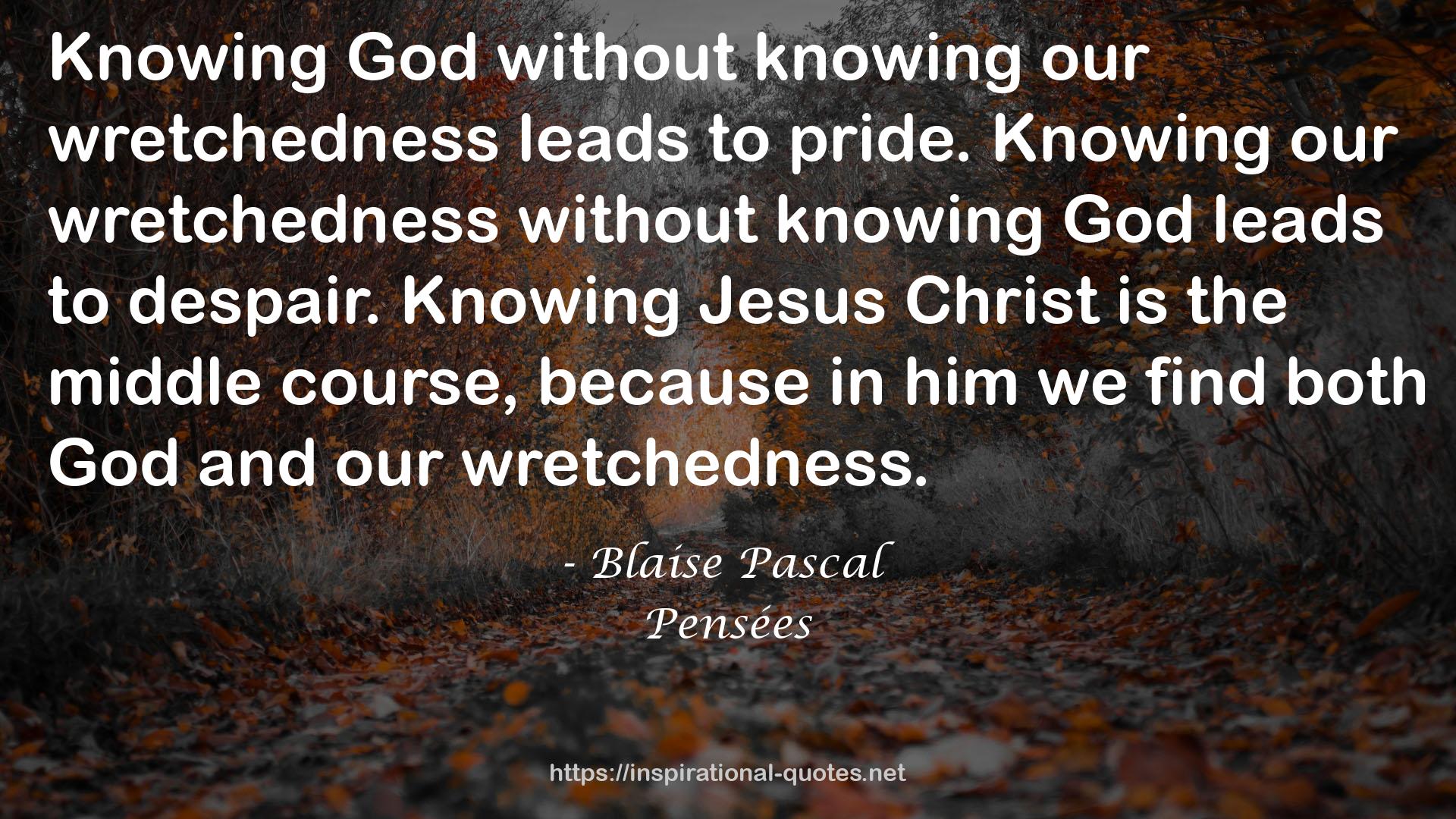 our wretchedness  QUOTES