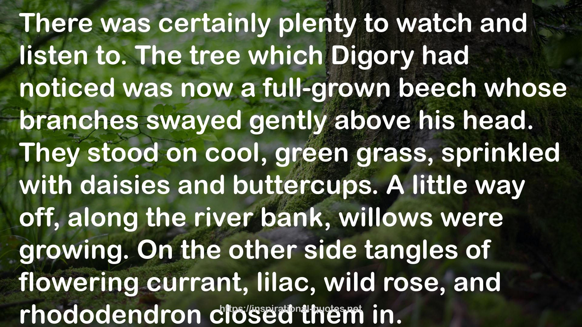 Digory  QUOTES