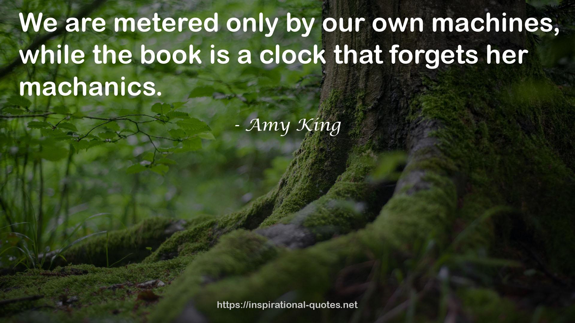 Amy King QUOTES