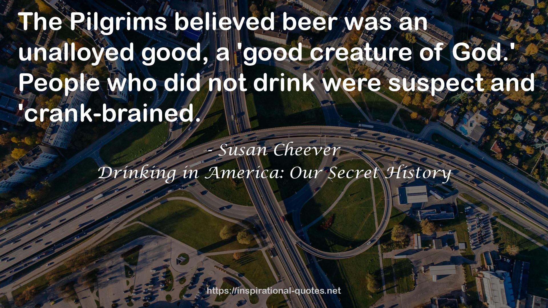 Susan Cheever QUOTES