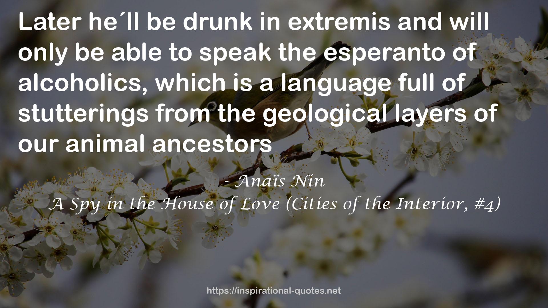 the geological layers  QUOTES
