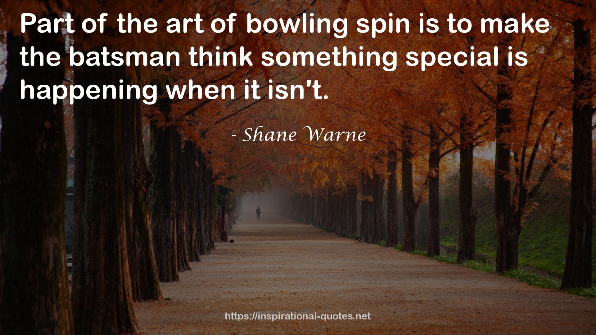 bowling spin  QUOTES