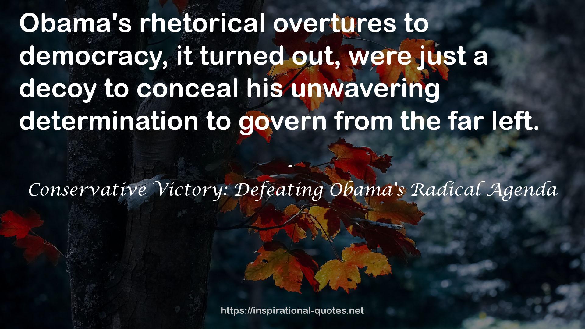 Conservative Victory: Defeating Obama's Radical Agenda QUOTES