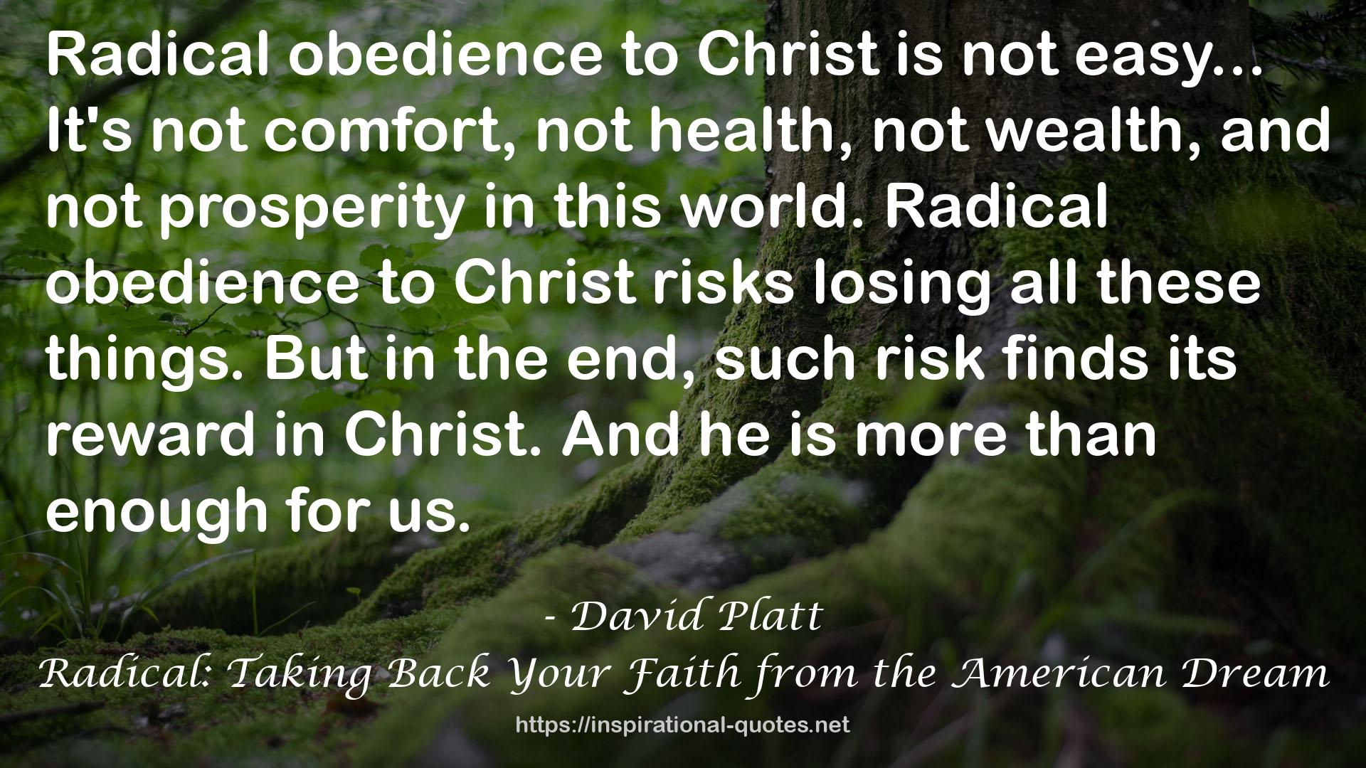 Radical: Taking Back Your Faith from the American Dream QUOTES