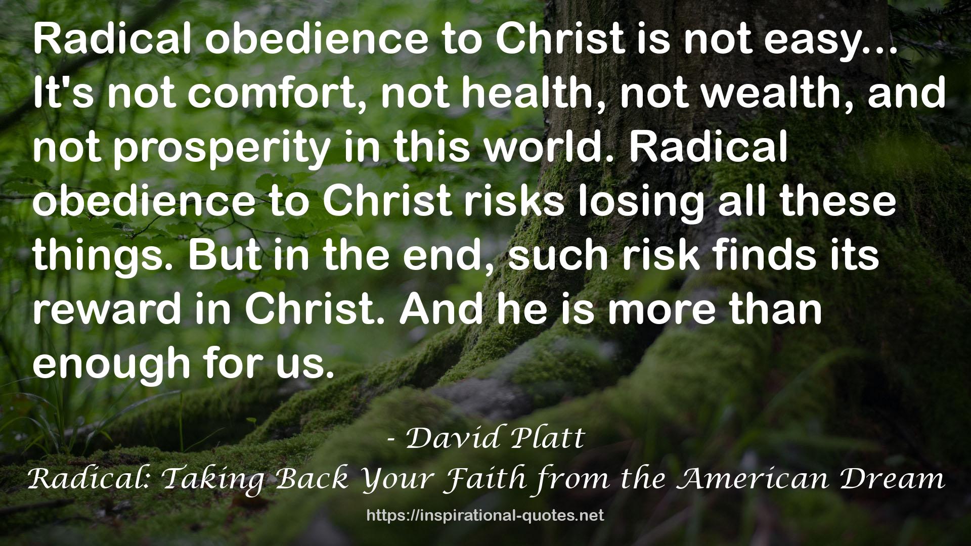 David Platt QUOTES