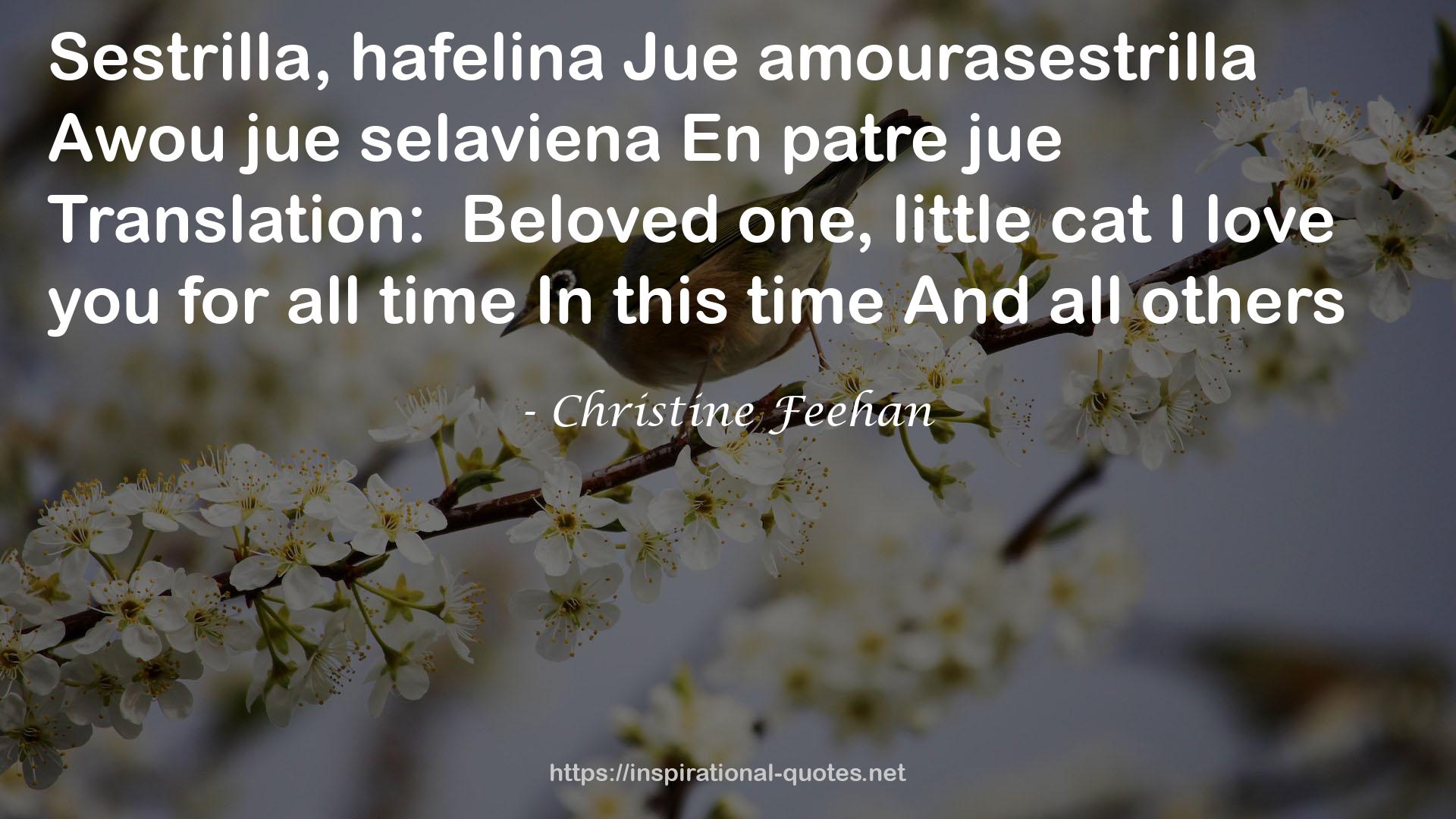 hafelinaJue  QUOTES