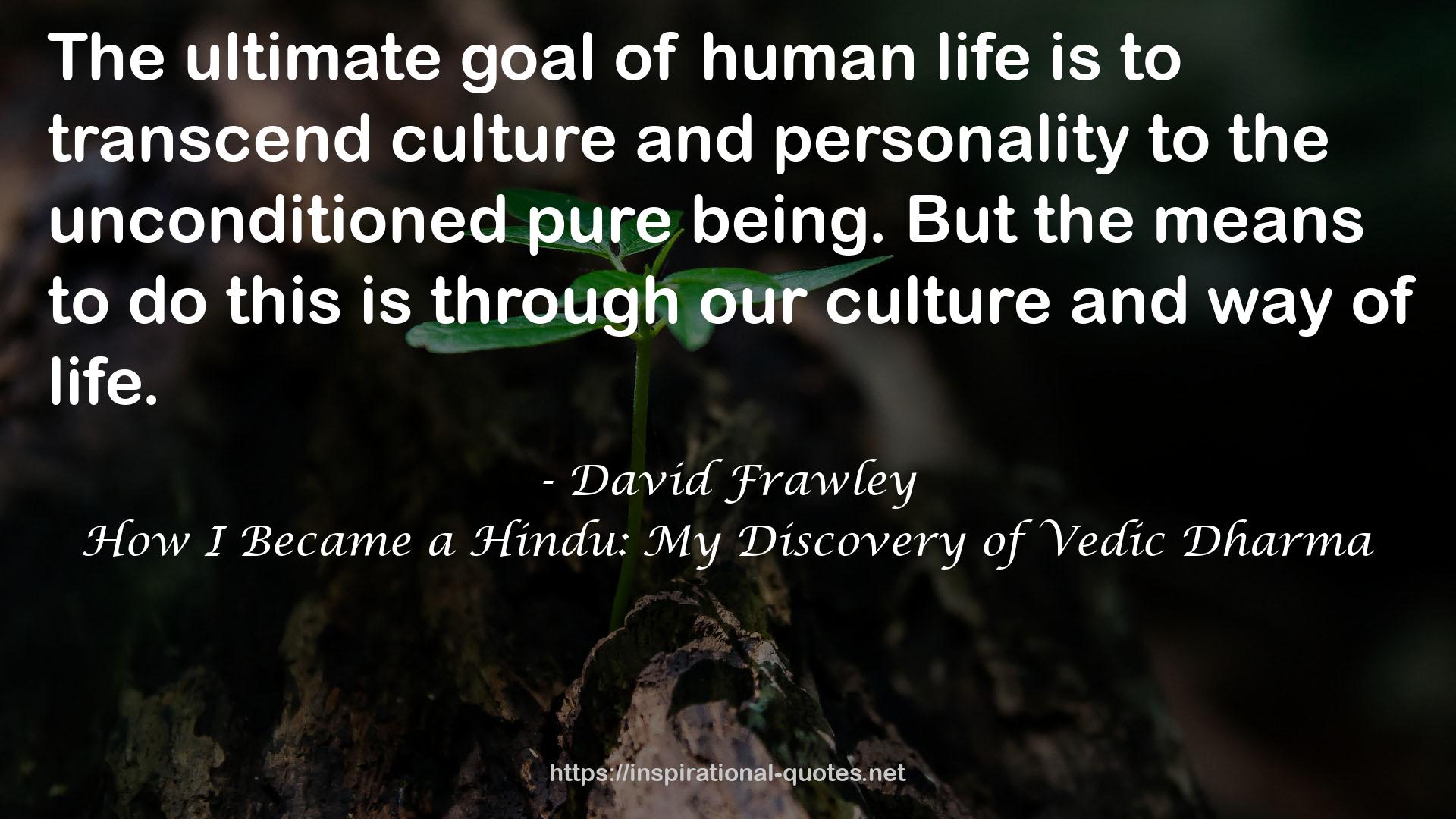 How I Became a Hindu: My Discovery of Vedic Dharma QUOTES
