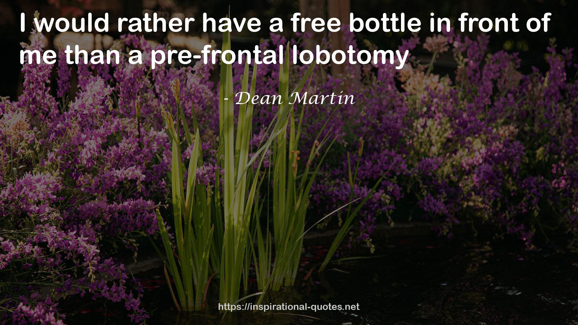 Dean Martin QUOTES