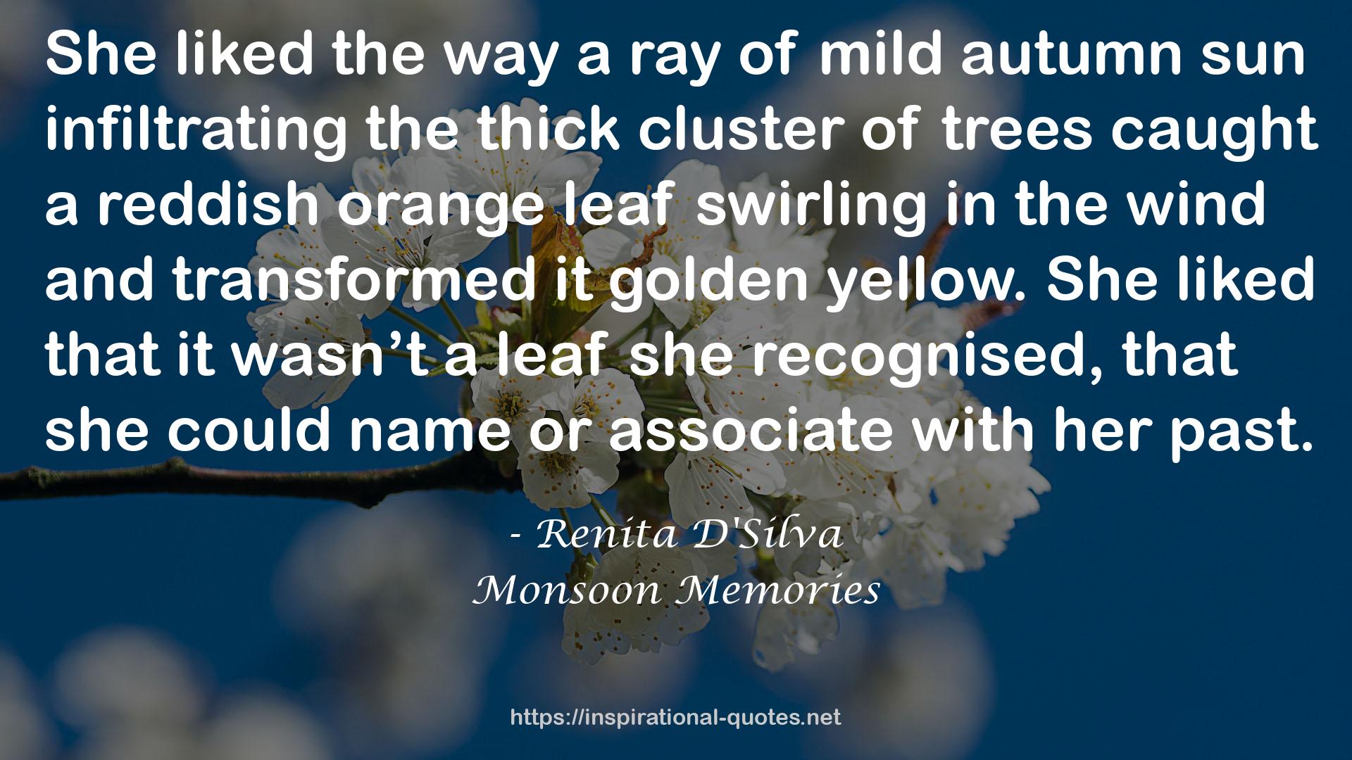 Monsoon Memories QUOTES