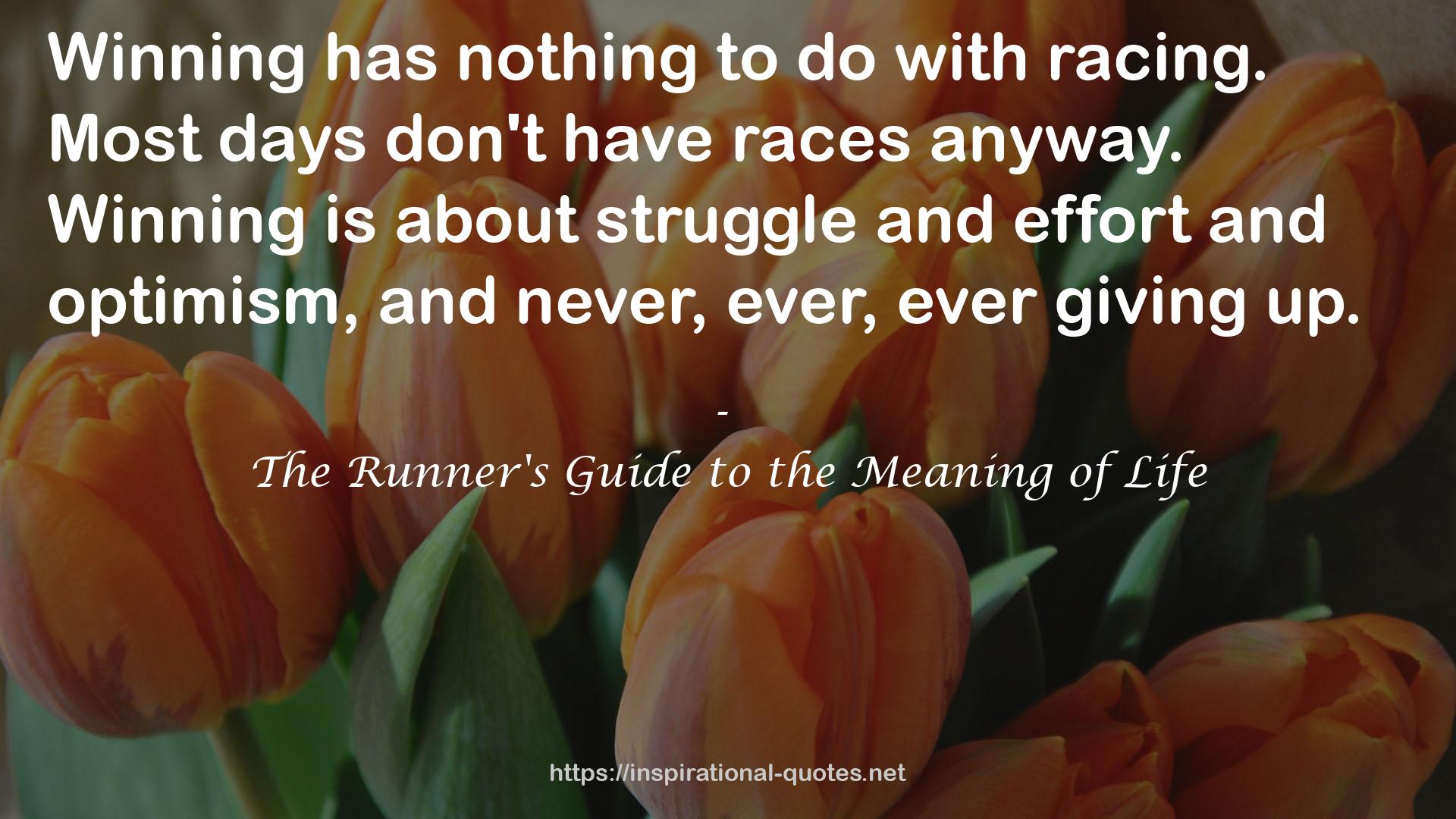 The Runner's Guide to the Meaning of Life QUOTES