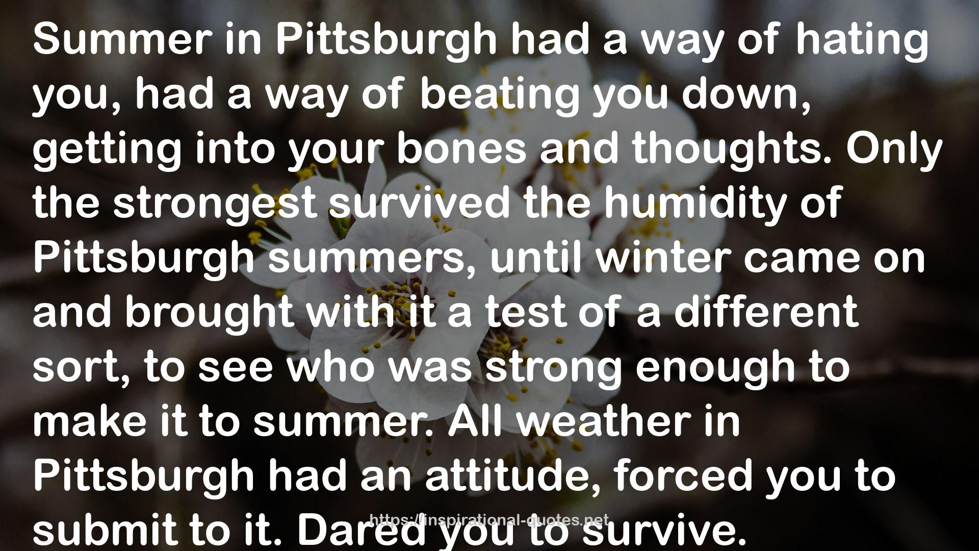 All weather  QUOTES