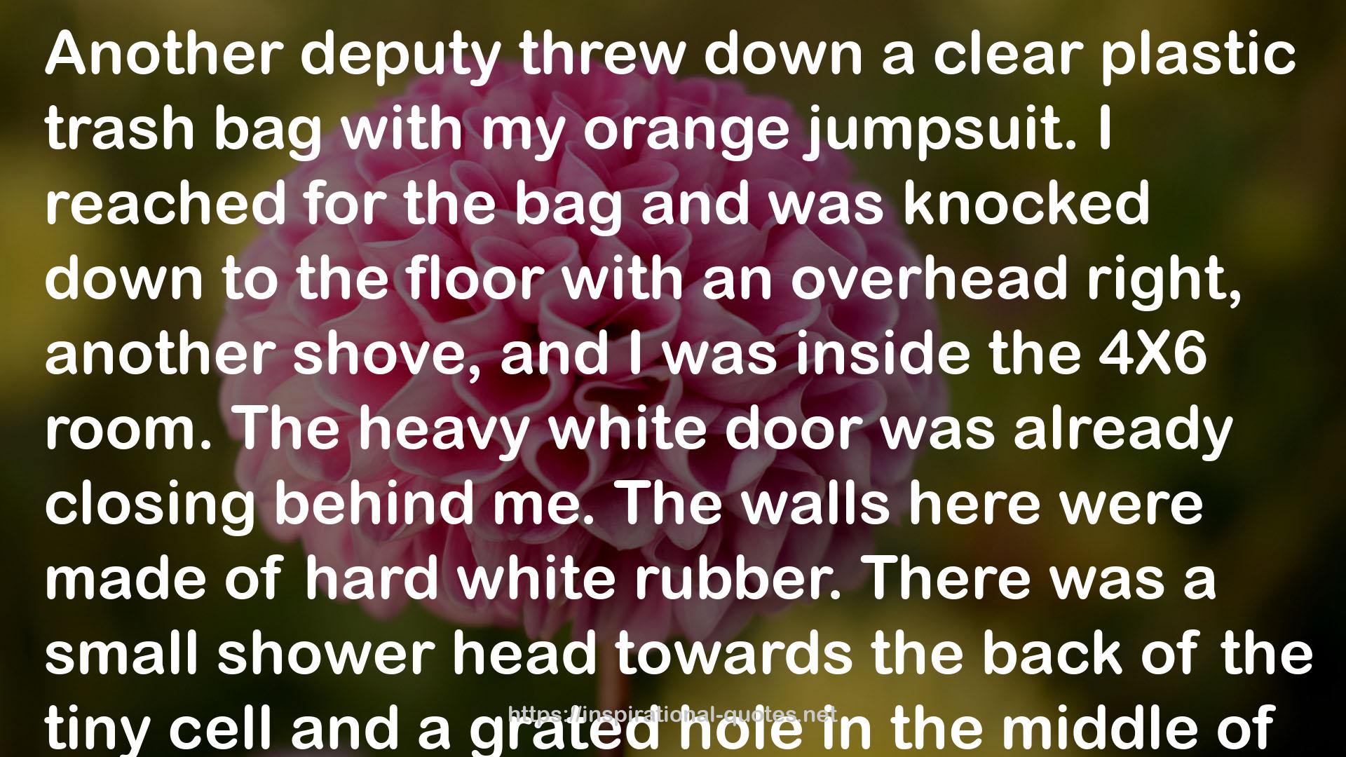 The heavy white door  QUOTES