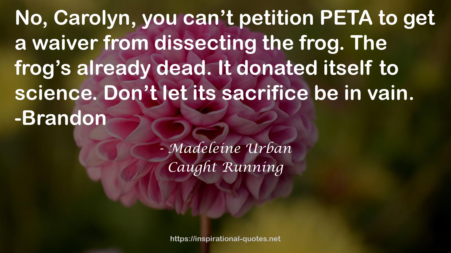 PETA  QUOTES