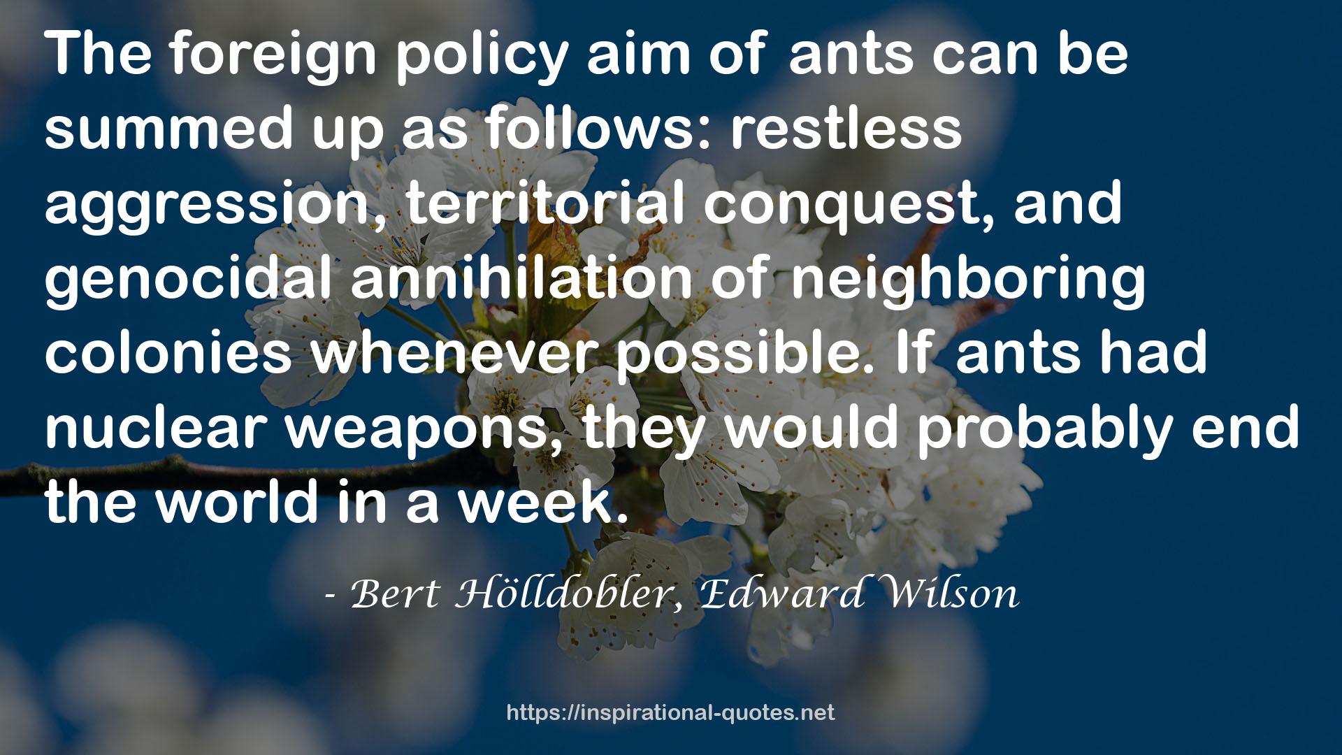 Bert Hölldobler, Edward Wilson QUOTES