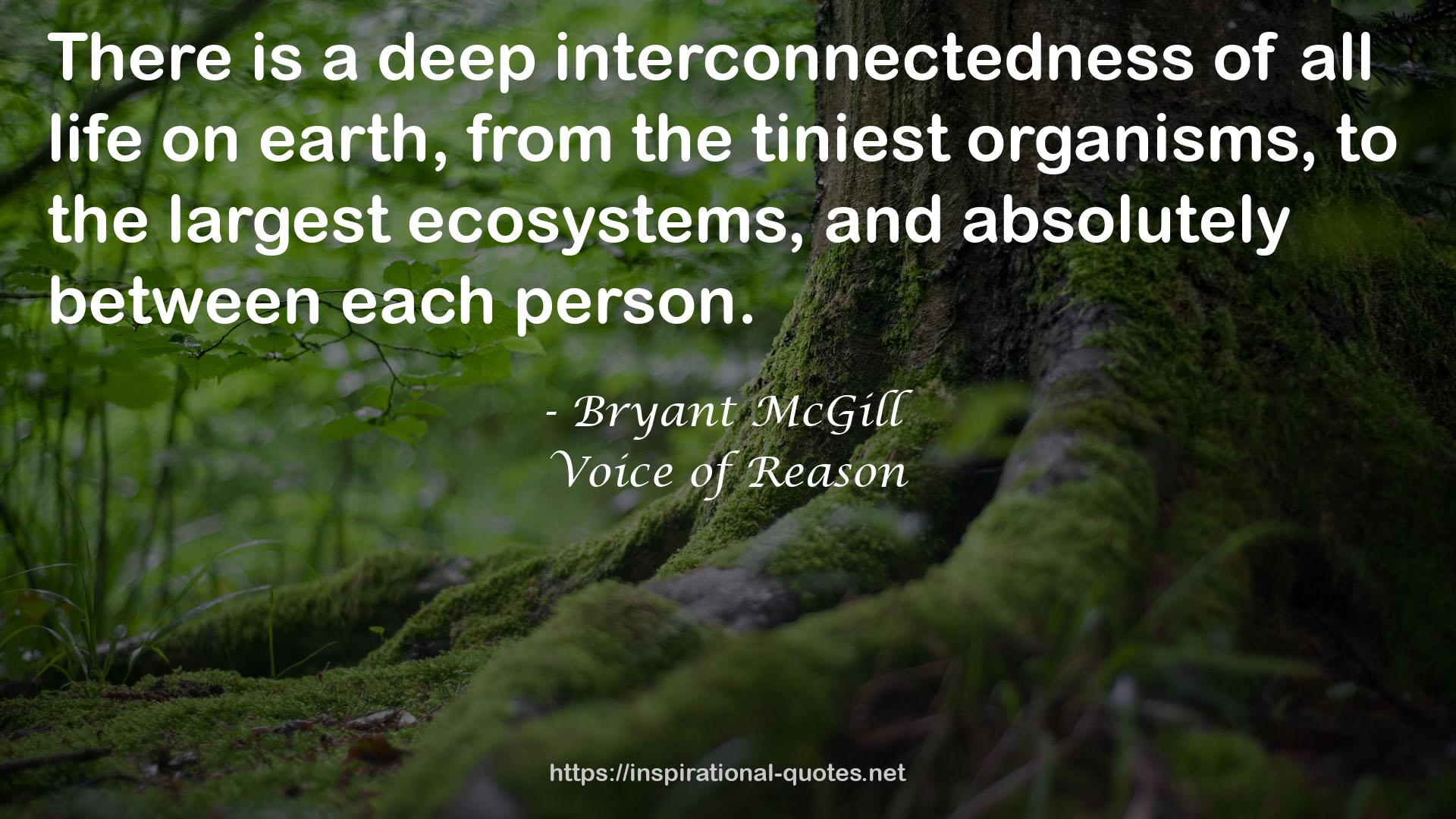 a deep interconnectedness  QUOTES