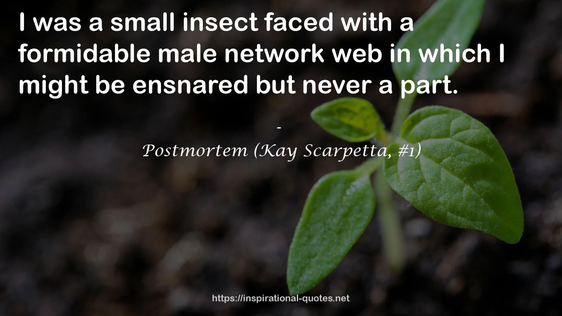 a formidable male network web  QUOTES