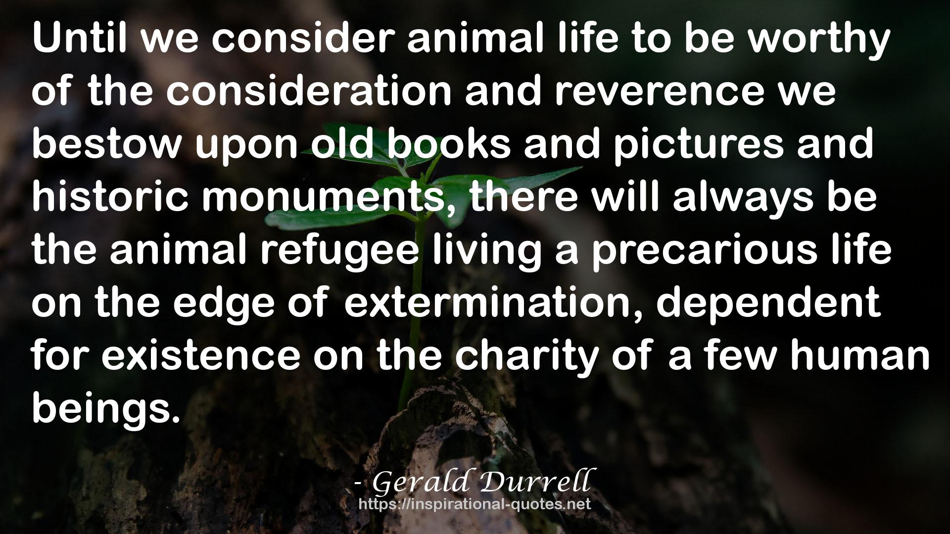 the animal refugee  QUOTES