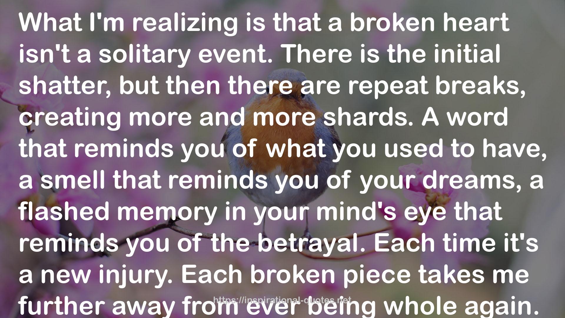 a flashed memory  QUOTES