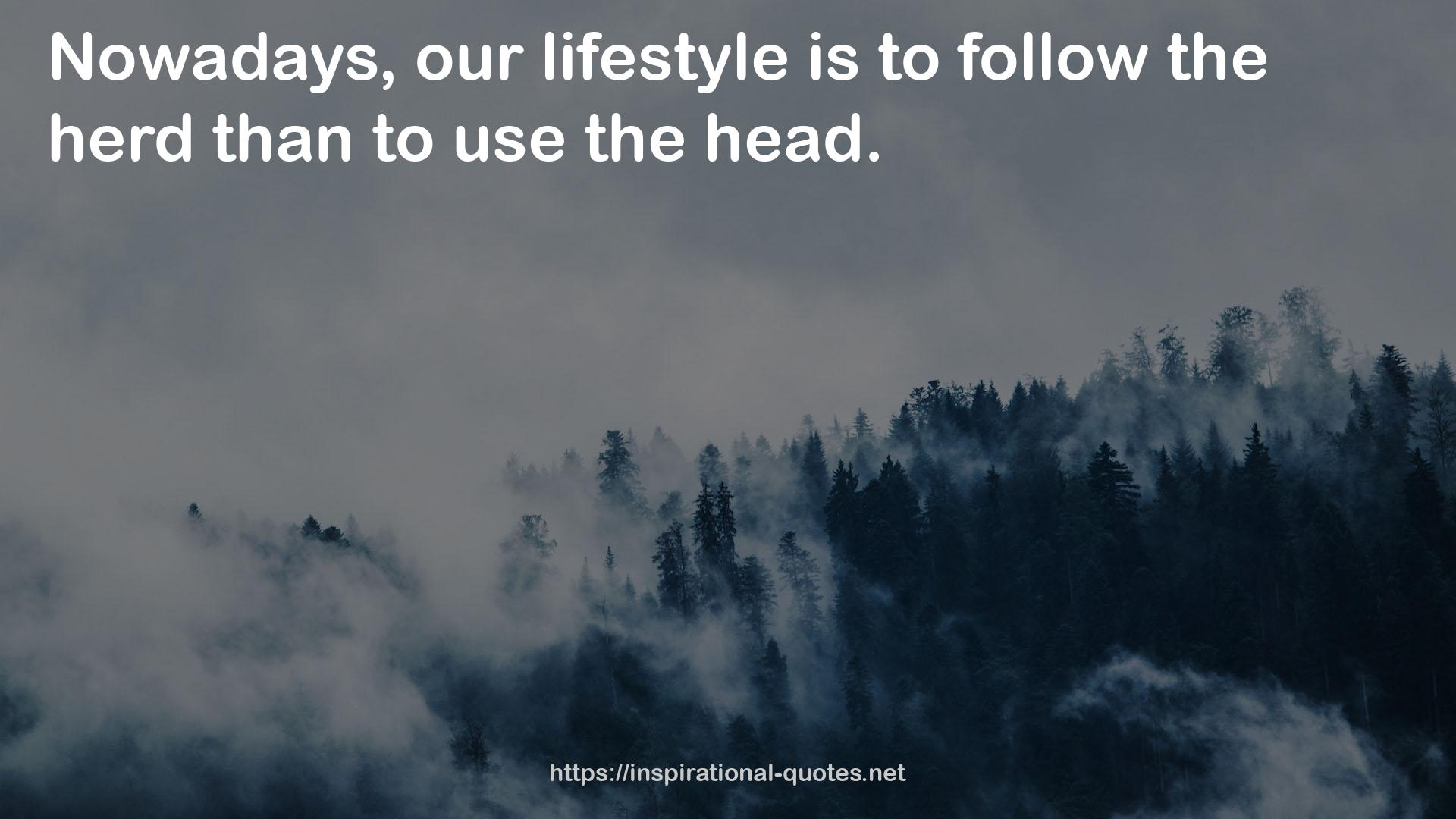 our lifestyle  QUOTES