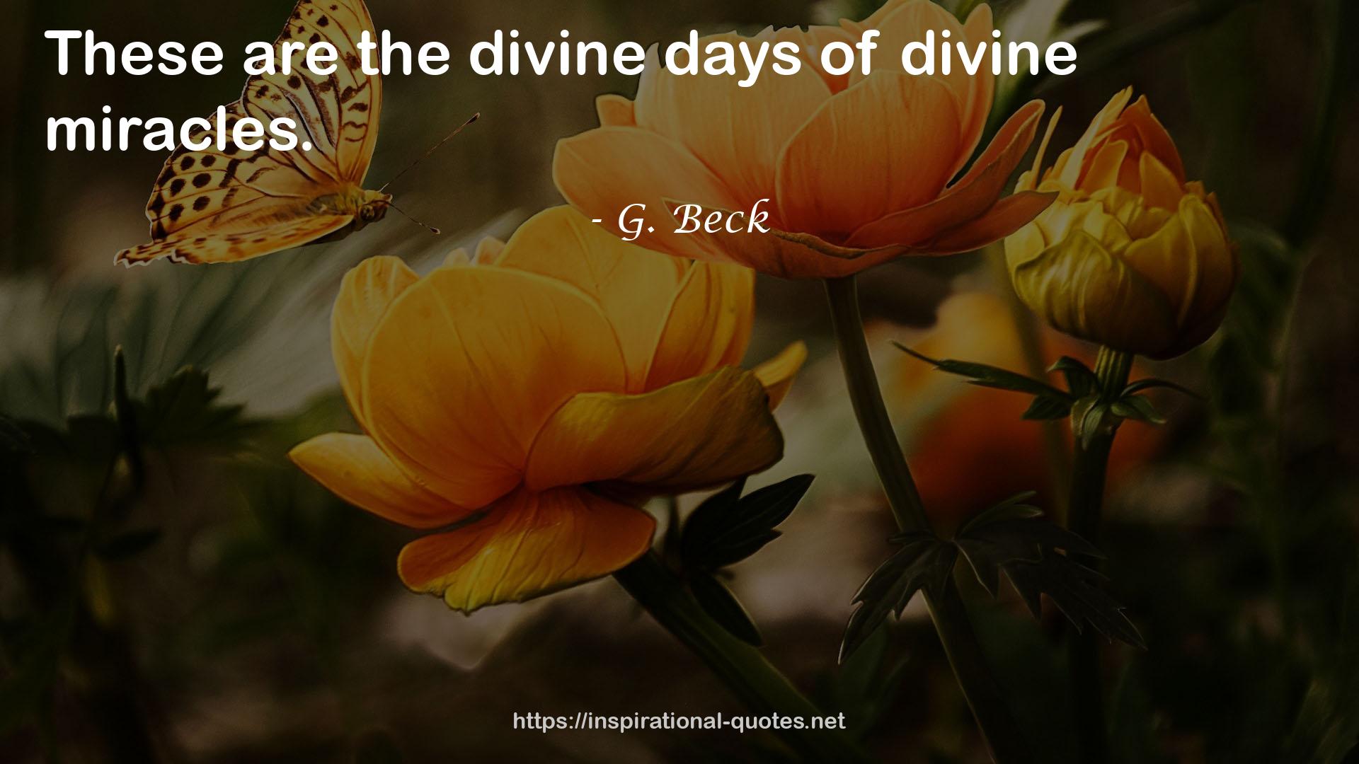 the divine days  QUOTES