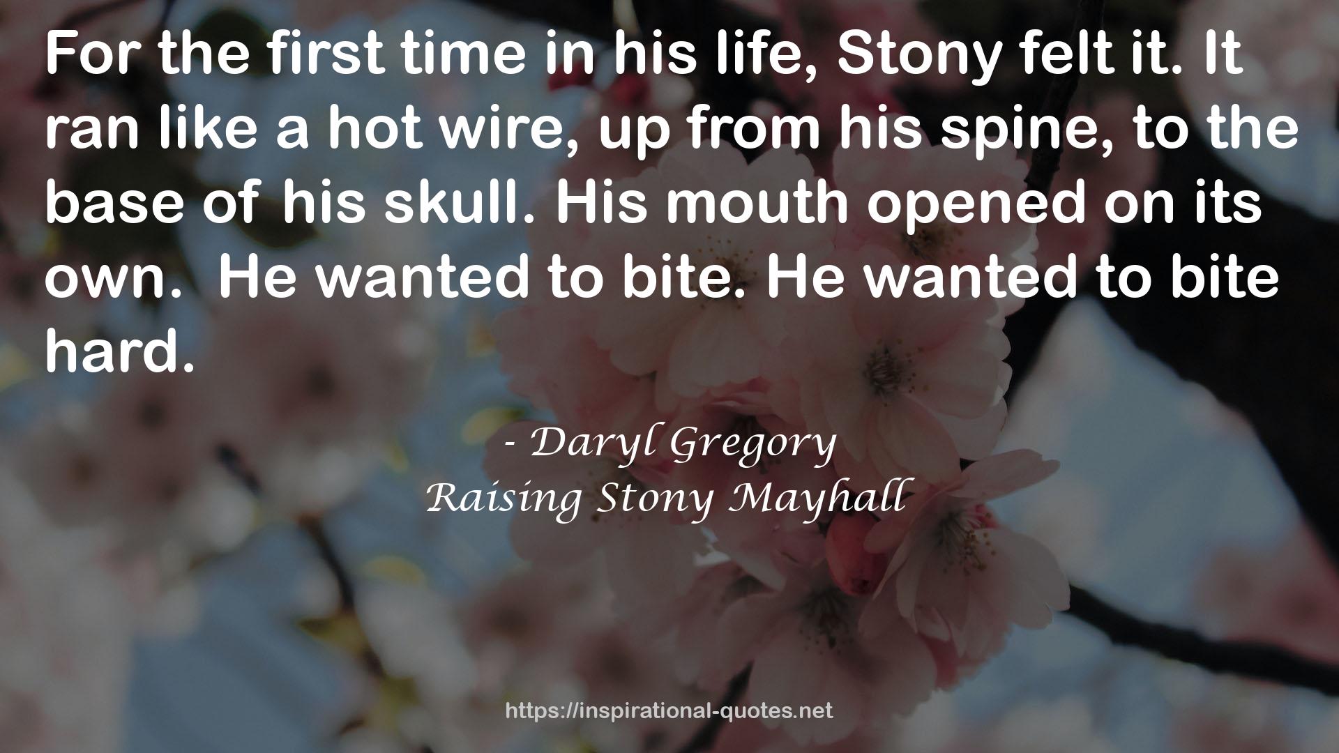 Raising Stony Mayhall QUOTES