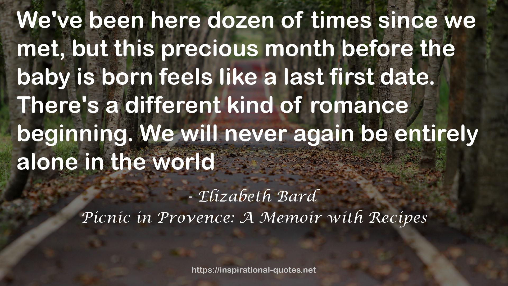 Picnic in Provence: A Memoir with Recipes QUOTES