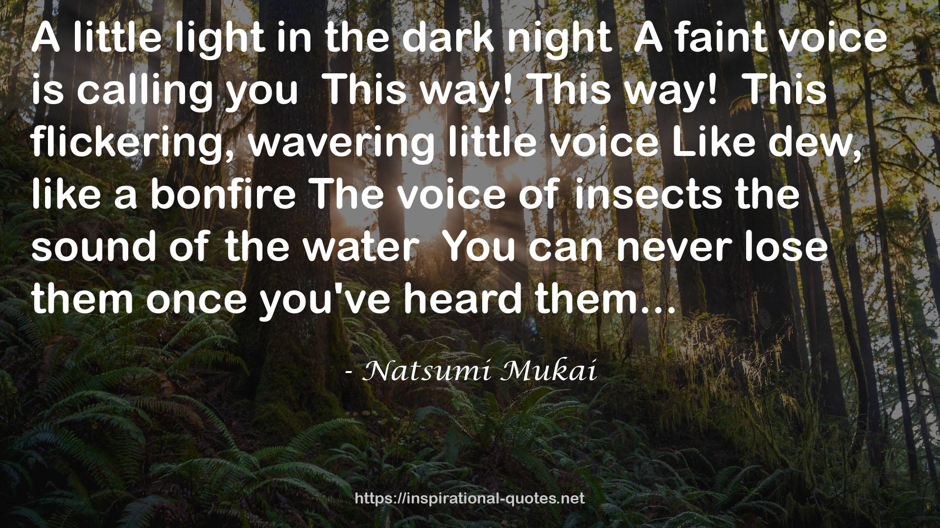 insectsthe  QUOTES