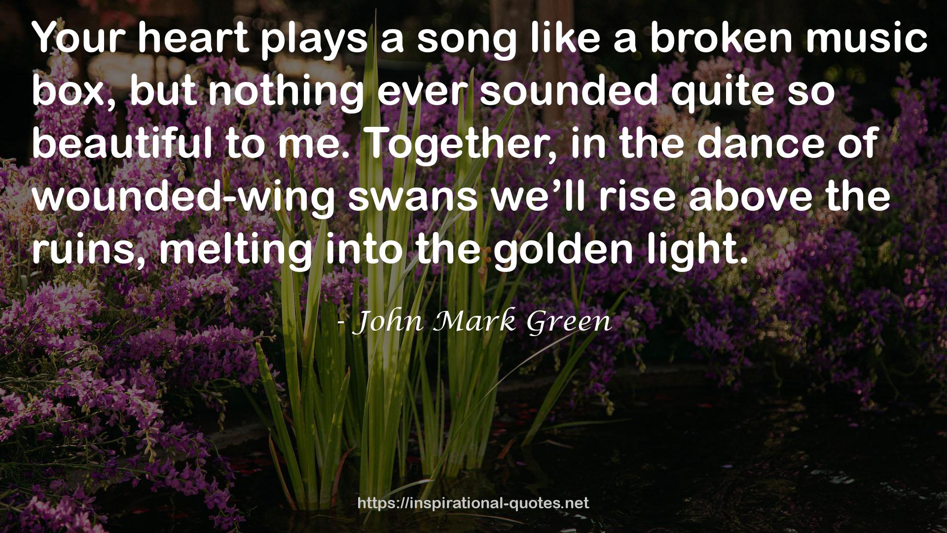 wounded-wing swans  QUOTES