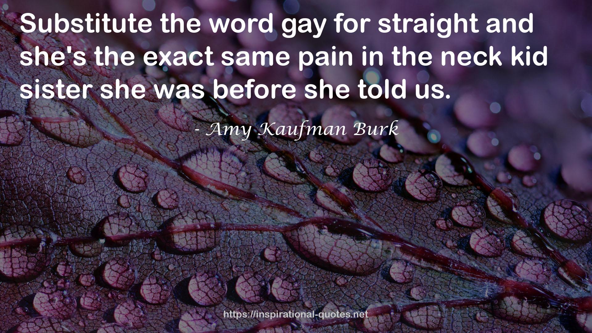 Amy Kaufman Burk QUOTES