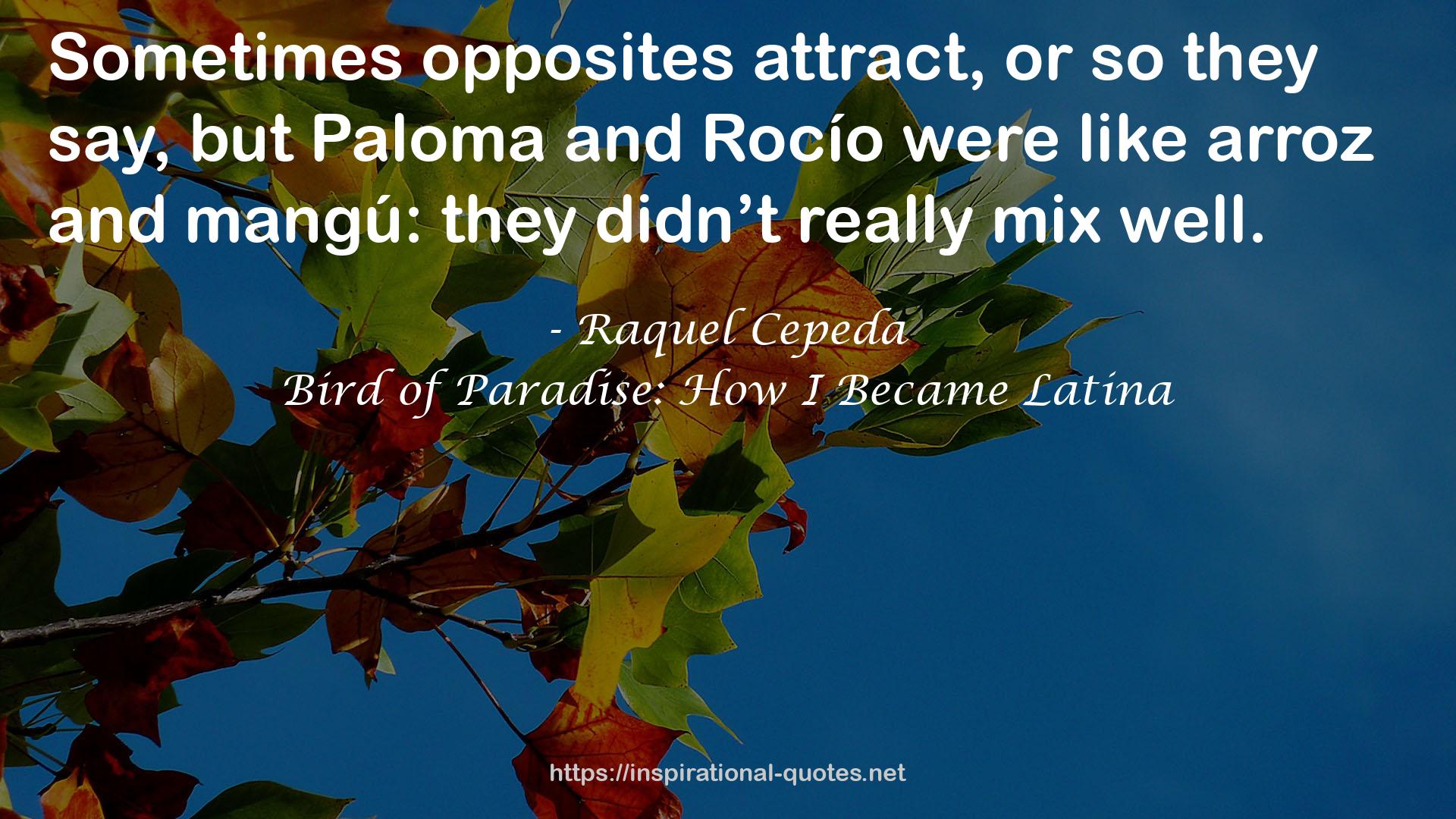 Bird of Paradise: How I Became Latina QUOTES