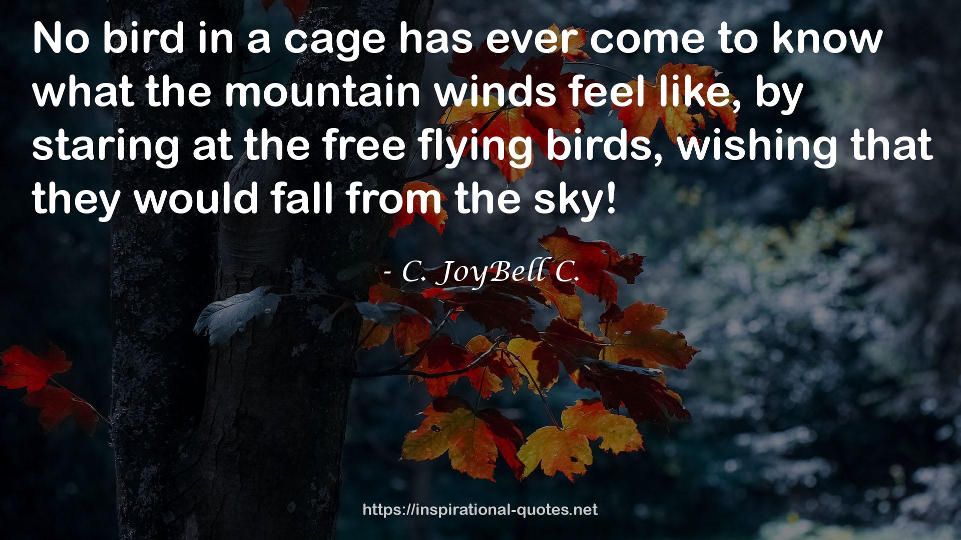 the mountain winds  QUOTES