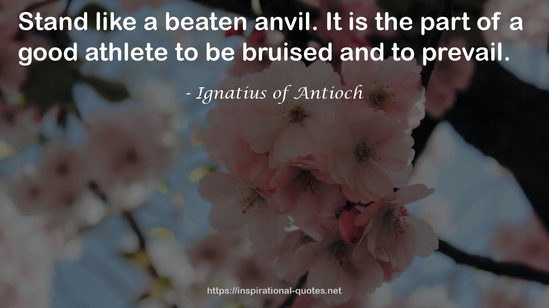 Ignatius of Antioch QUOTES