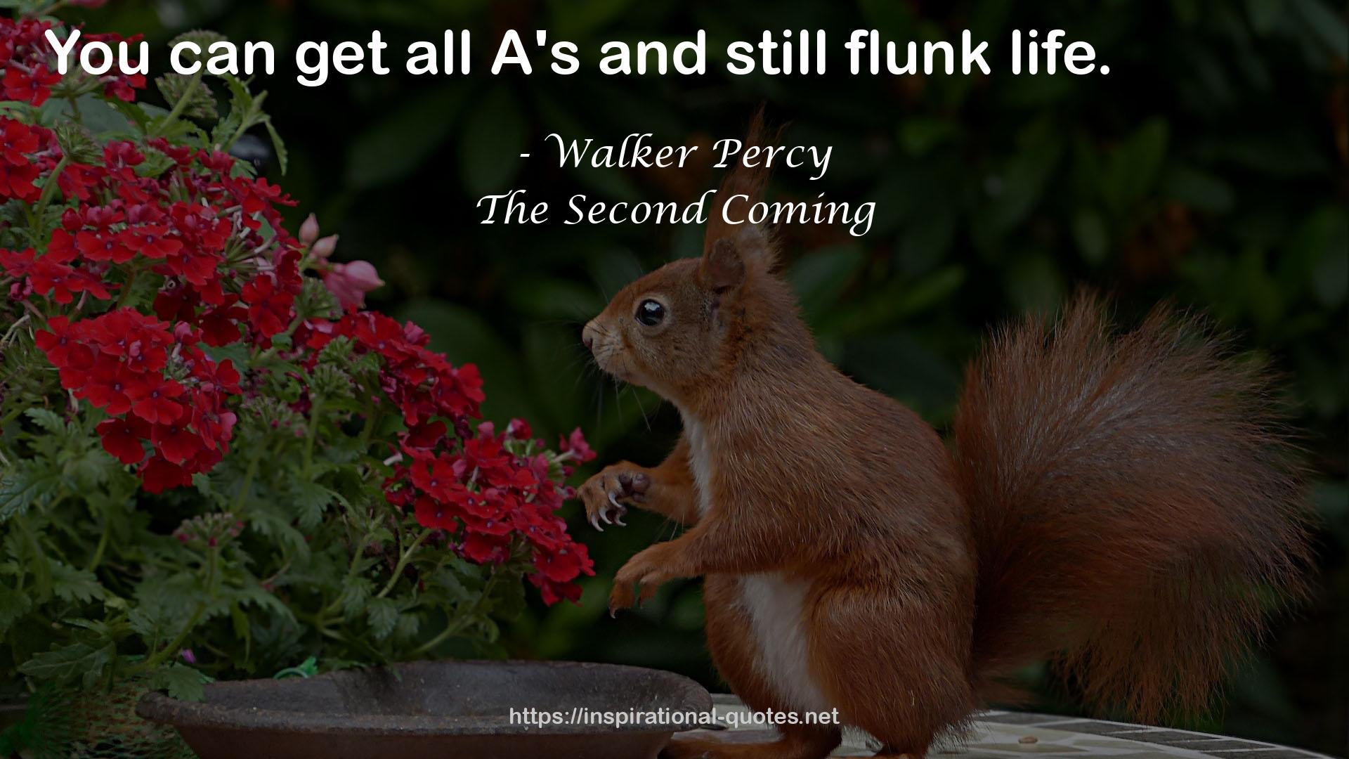 Walker Percy QUOTES