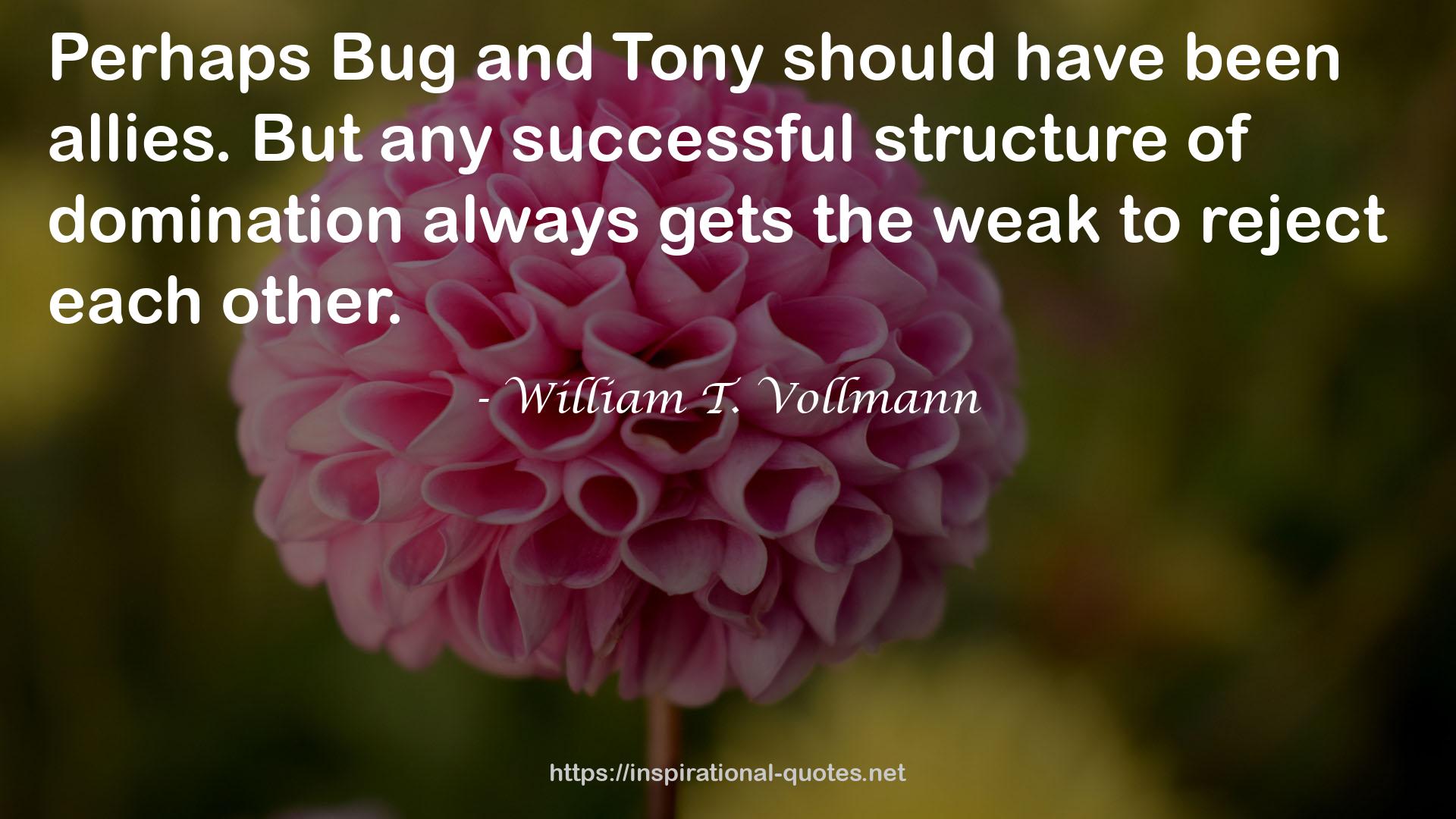 any successful structure  QUOTES