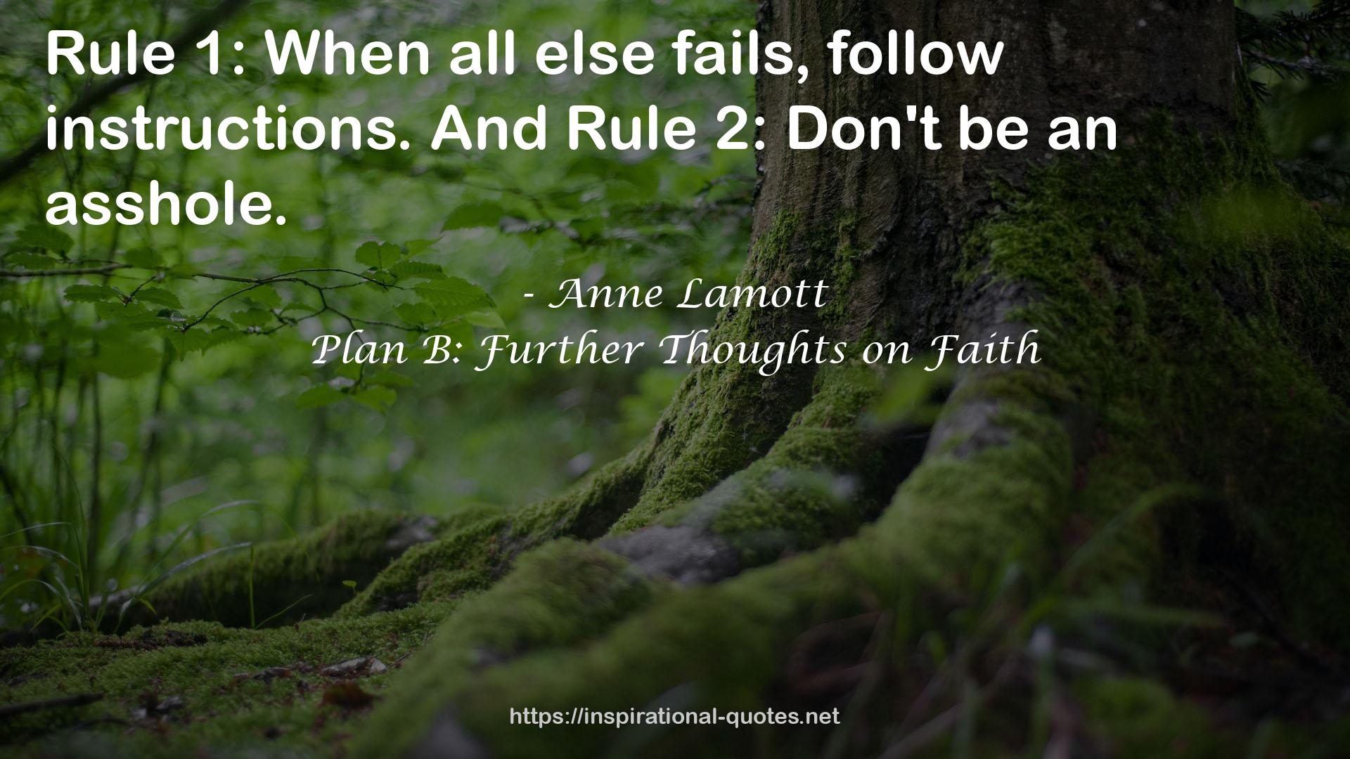 Plan B: Further Thoughts on Faith QUOTES