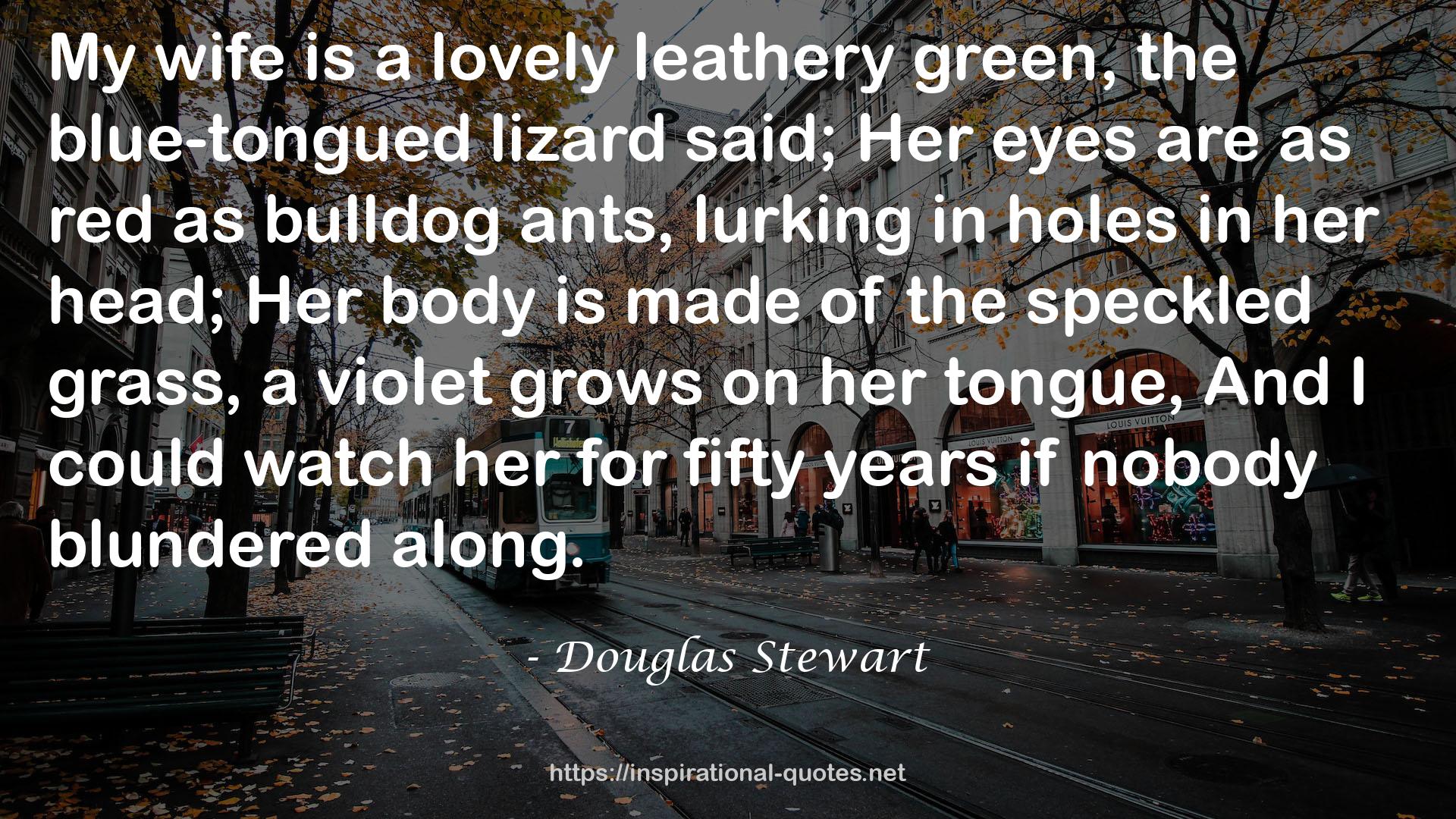 the blue-tongued lizard said;Her eyes  QUOTES