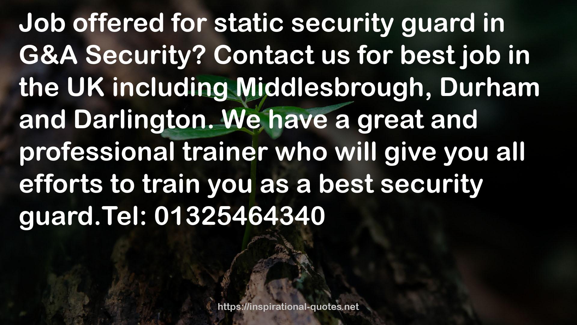 static security guard  QUOTES