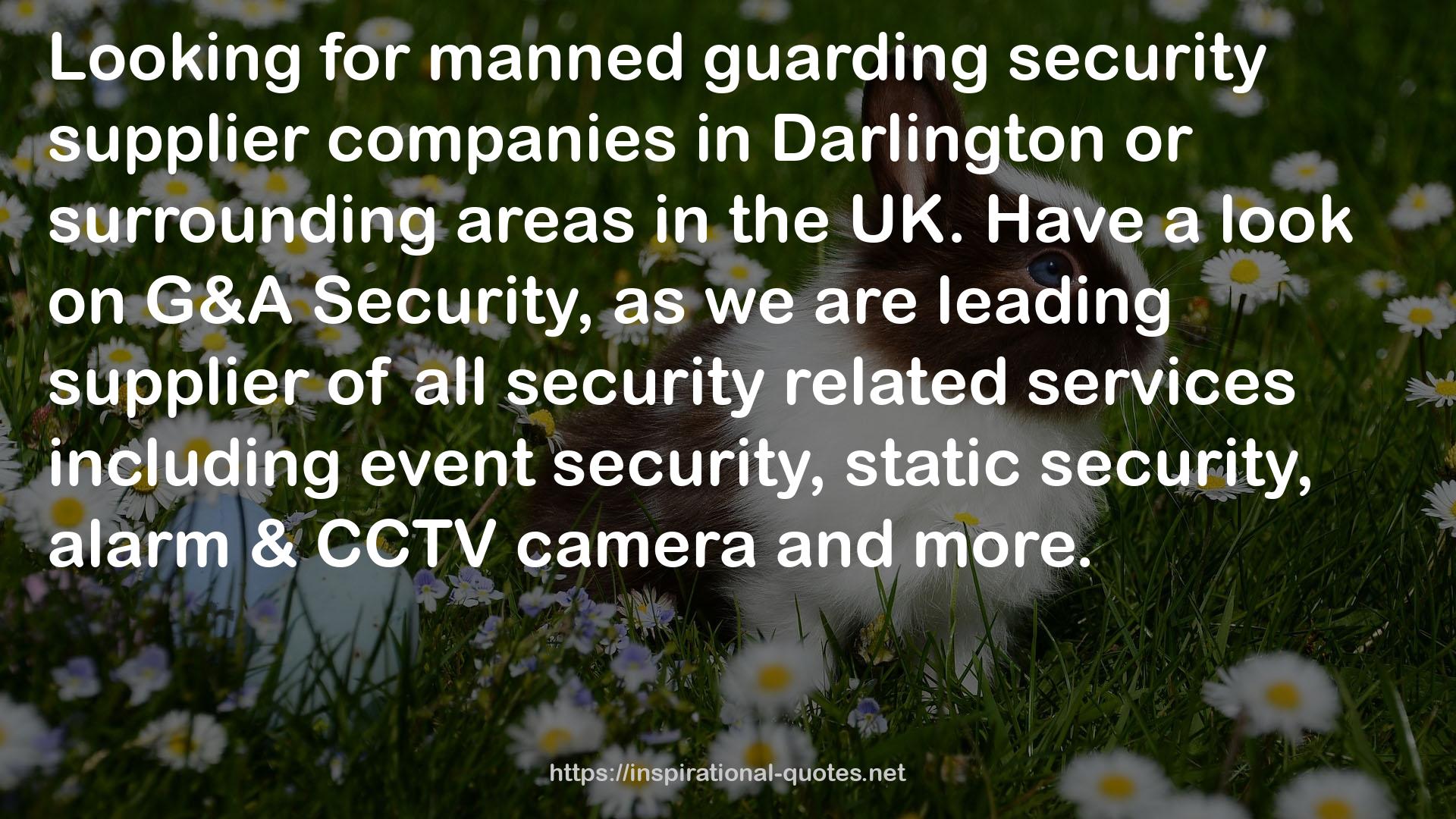 all security related services  QUOTES