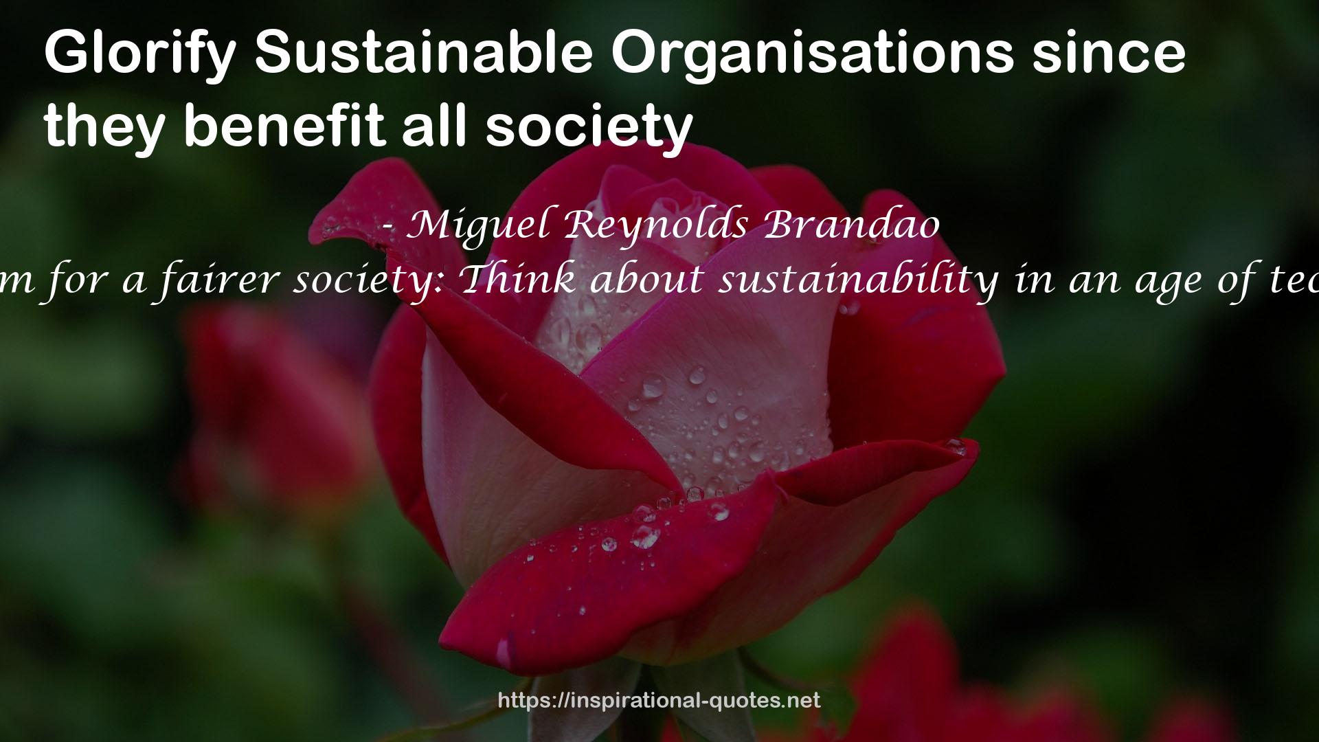 The Sustainable Organisation - a paradigm for a fairer society: Think about sustainability in an age of technological progress and rising inequality QUOTES