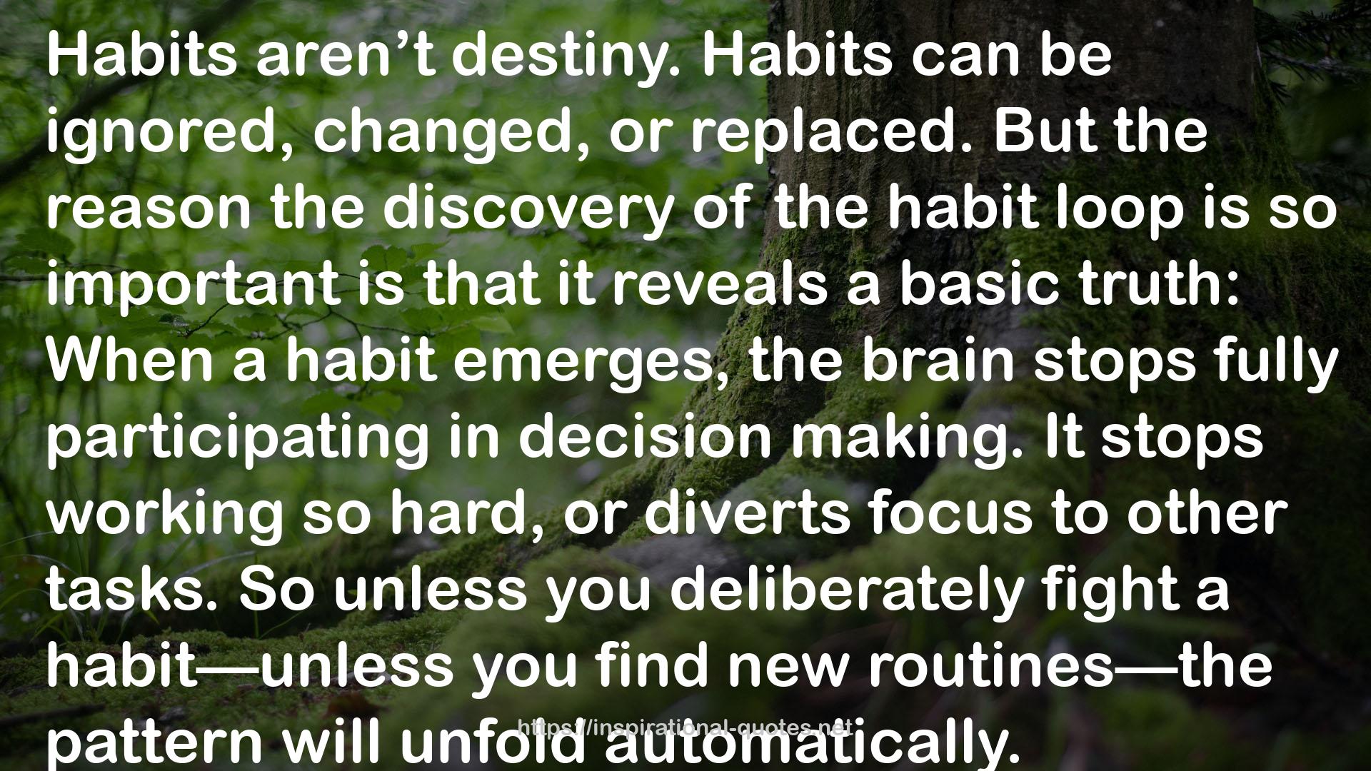 the habit loop  QUOTES