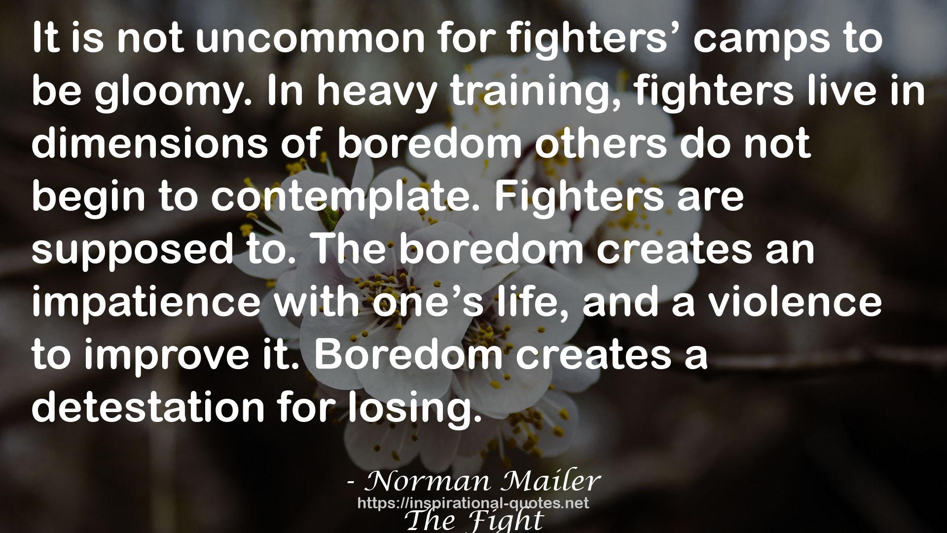fighters’ camps  QUOTES