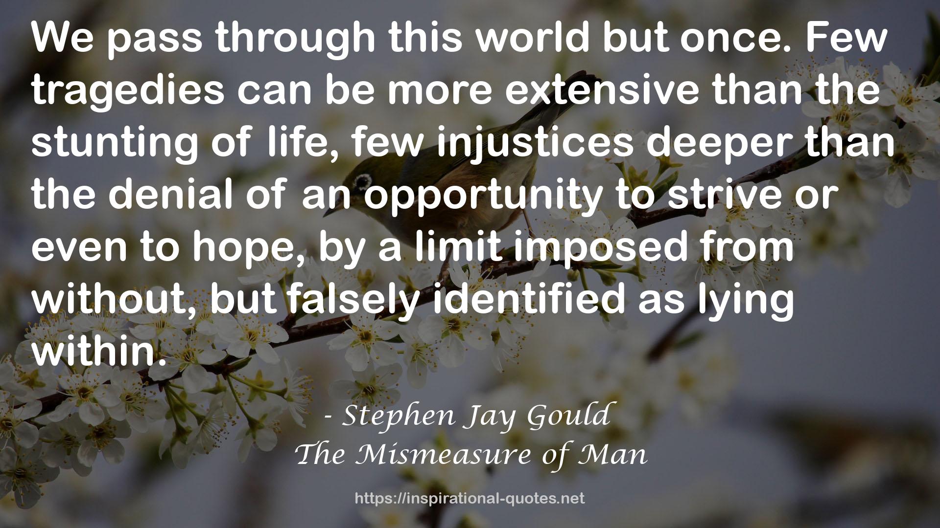 Stephen Jay Gould QUOTES