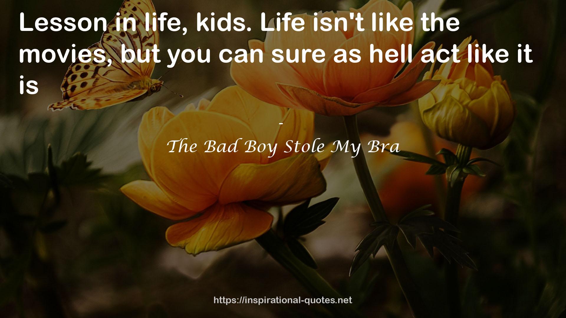 The Bad Boy Stole My Bra QUOTES