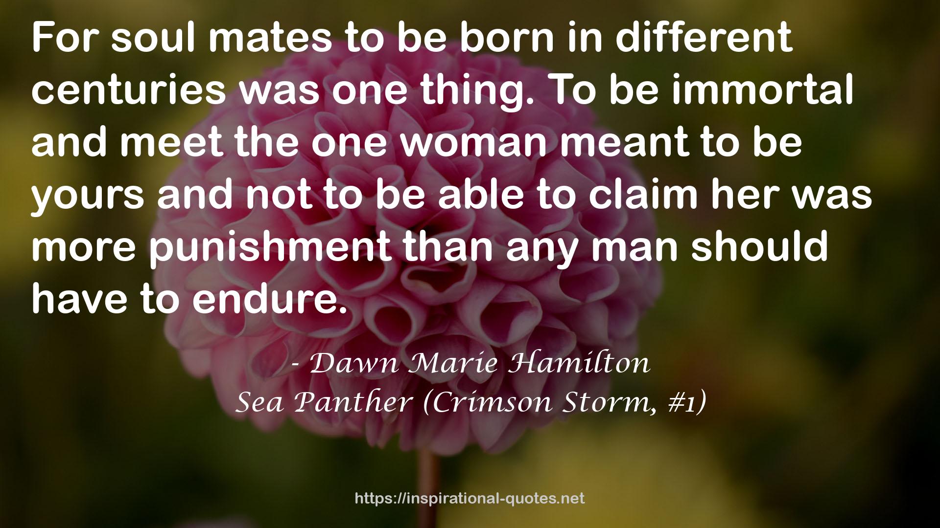 Sea Panther (Crimson Storm, #1) QUOTES